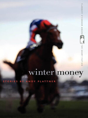 cover image of Winter Money